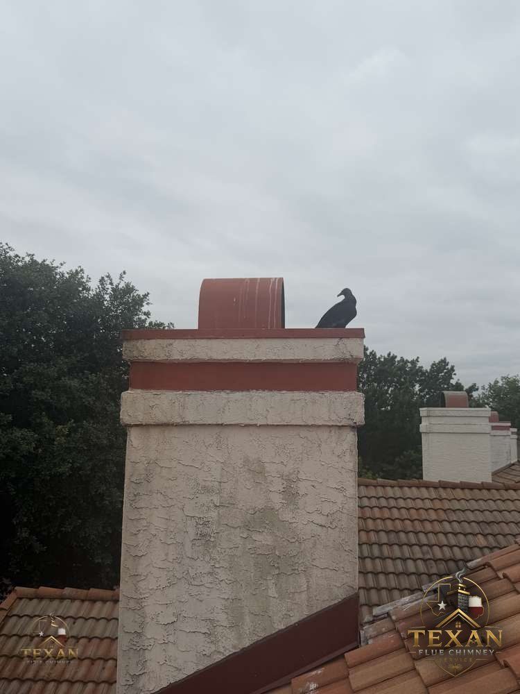 Bird in Your Chimney? Safe Removal in DFW